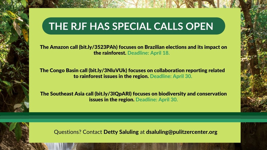 Special Call for Proposals: Biodiversity in the Tropical Forests by Rainforest Journalism Fund