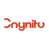 Updates at Cognito